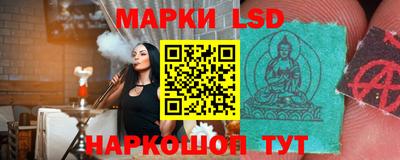 мяу мяу мука Гатчина