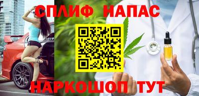 мяу мяу мука Гатчина