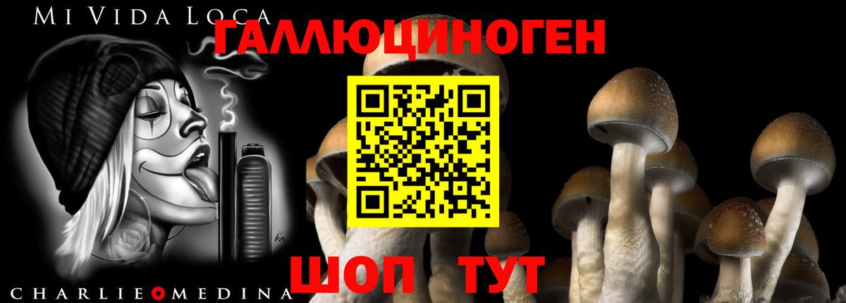 Галлюциногенные грибы Cubensis  Галлюциногенные грибы мицелий  Искитим  Вход с VPN 
